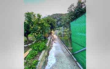 Property slide 14