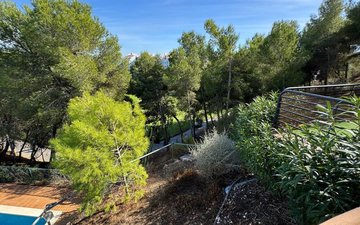 Property slide 31
