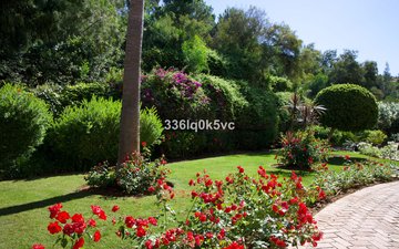 Property slide 4