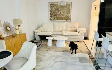 Property slide 19