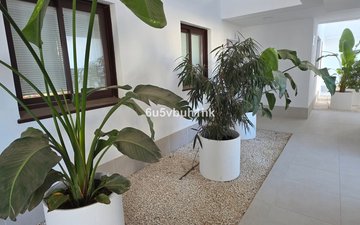 Property slide 19