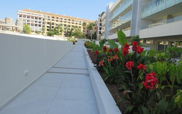 Property slide 41