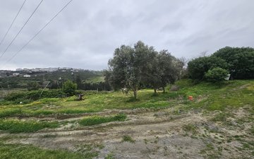 Property slide 6