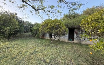 Property slide 59