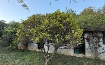 Property slide 61