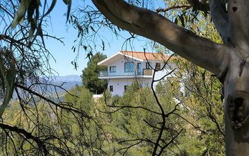 Property slide 26