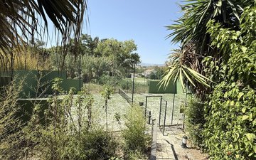 Property slide 30