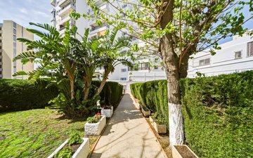 Property slide 24