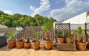 Property slide 32