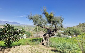 Property slide 34