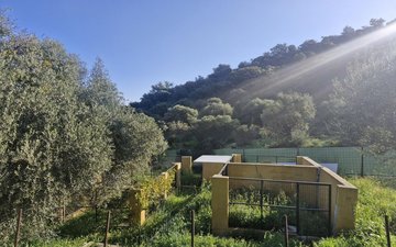 Property slide 43