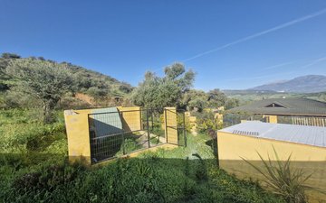 Property slide 44