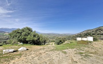 Property slide 50