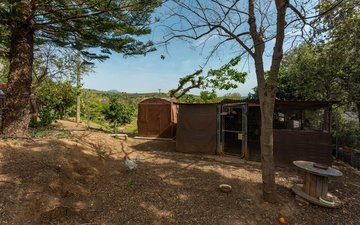 Property slide 41