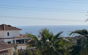 Property slide 23