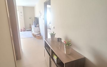Property slide 19