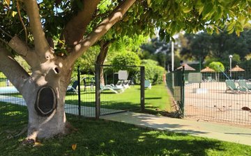 Property slide 37