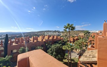 Property slide 43