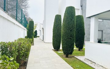 Property slide 25