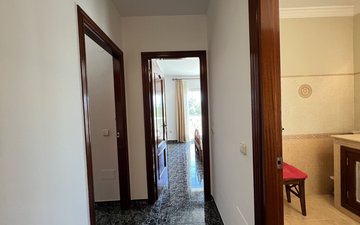 Property slide 117