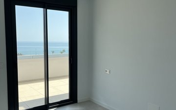 Property slide 43