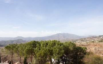 Property slide 29
