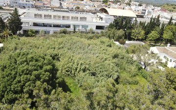 Property slide 17