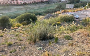 Property slide 2