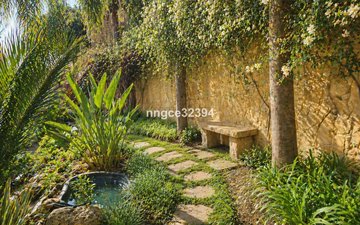 Property slide 31