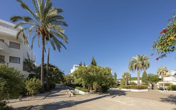 Property slide 41