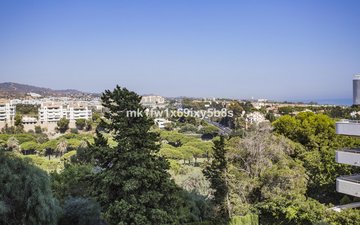 Property slide 37