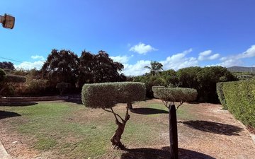 Property slide 31