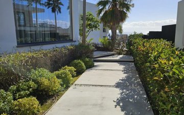 Property slide 4