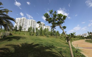Property slide 51