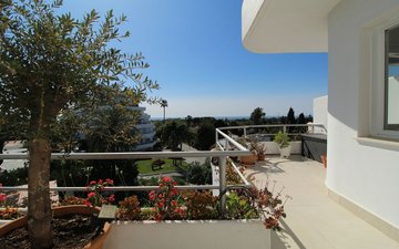 Property slide 6