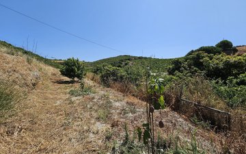 Property slide 18