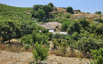 Property slide 21