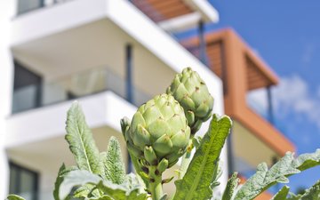 Property slide 25