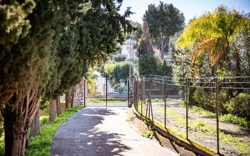 Property slide 49