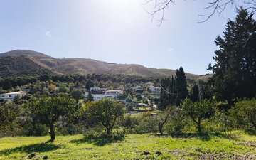 Property slide 74