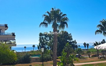 Property slide 43