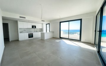 Property slide 4