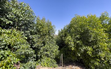 Property slide 44