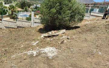 Property slide 8