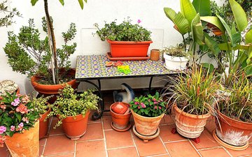 Property slide 91