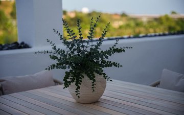 Property slide 25