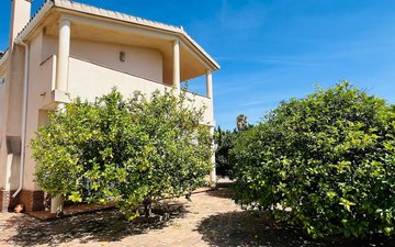 Property slide 43