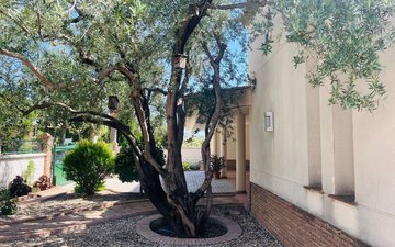 Property slide 56