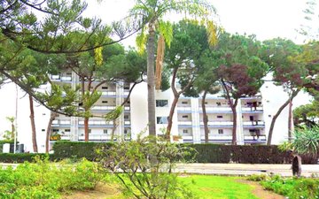 Property slide 1