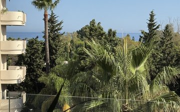 Property slide 24